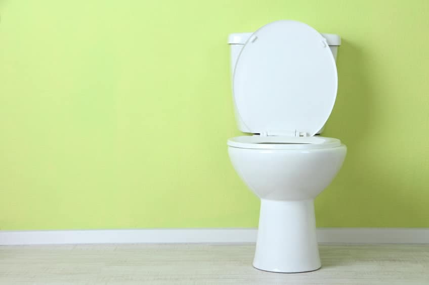 slow flushing toilet