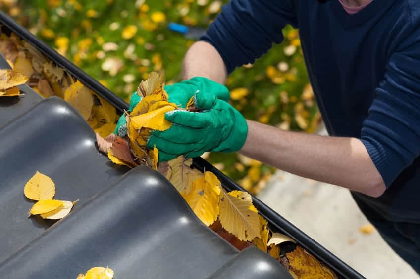 Cleaning gutters to prevent clogged drains during fall.