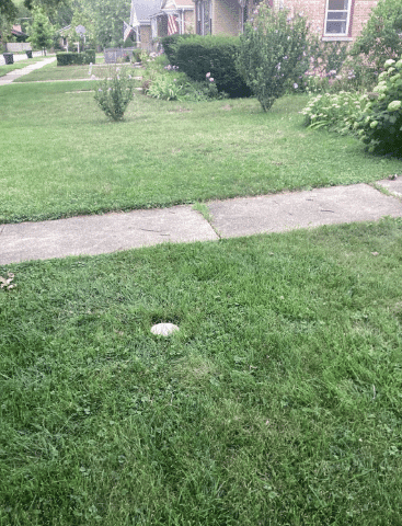 front yard after sewer rodding in Crete, IL