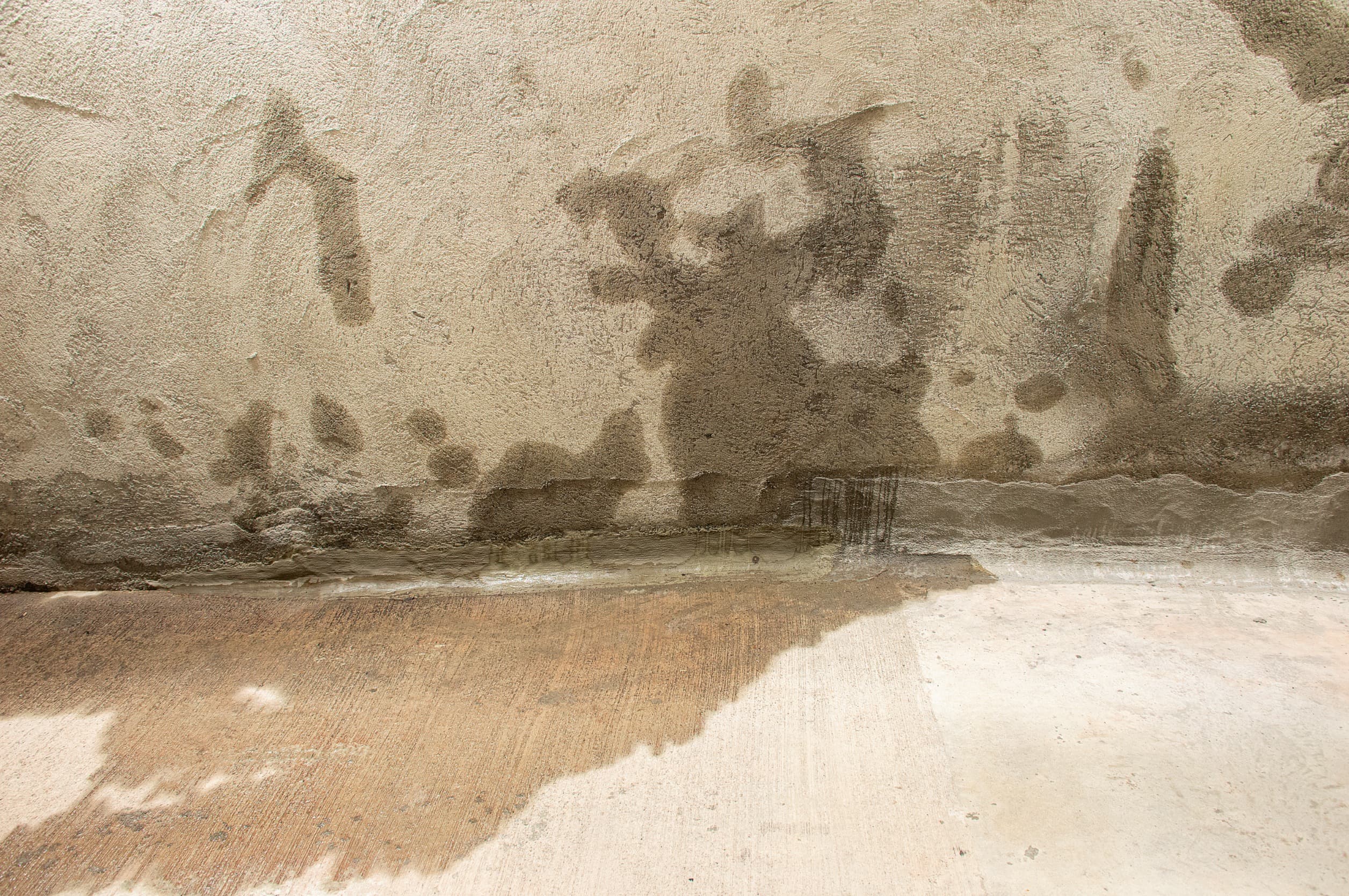 leak in basement