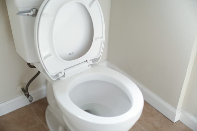 toilet in tinley park