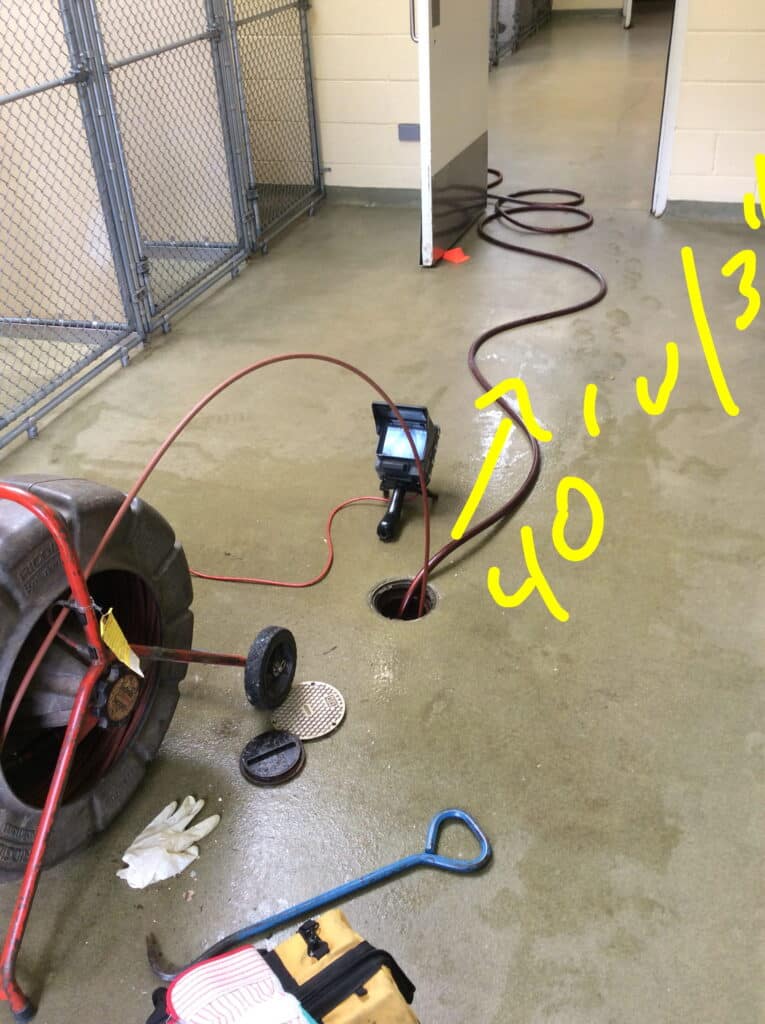 sewer rodding at an animal hospital