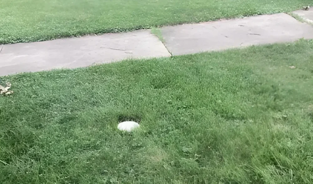 front yard after sewer rodding in Crete, IL