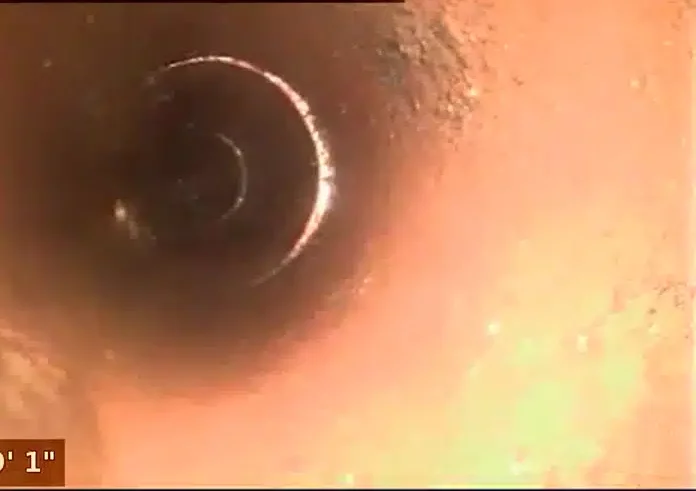 after descaling and precision cleaning