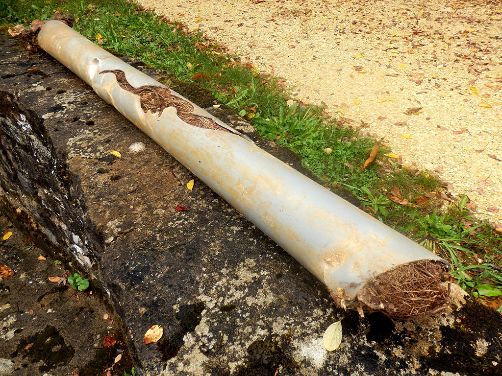 cracked sewer pipe