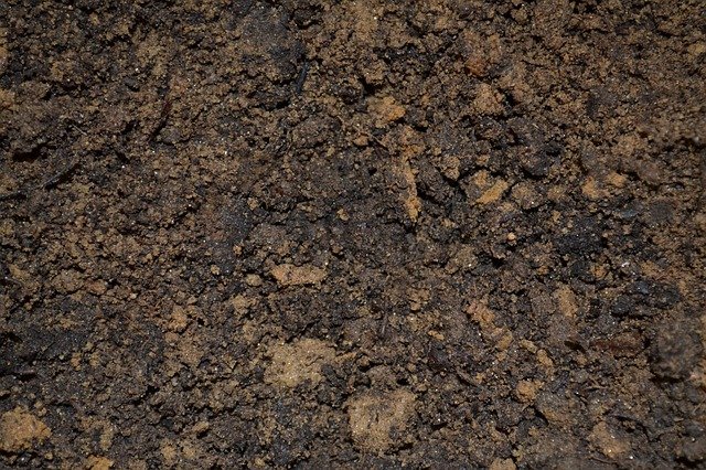 mound of dirt