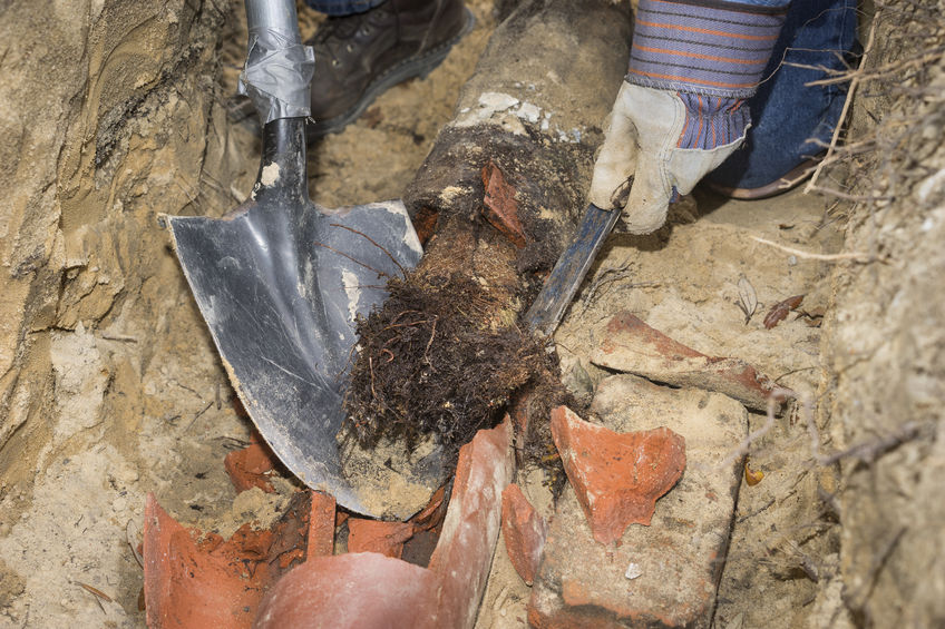 drain cleaning & sewer repair lansing, il