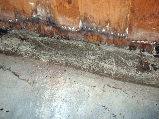 foundation with water stain damage