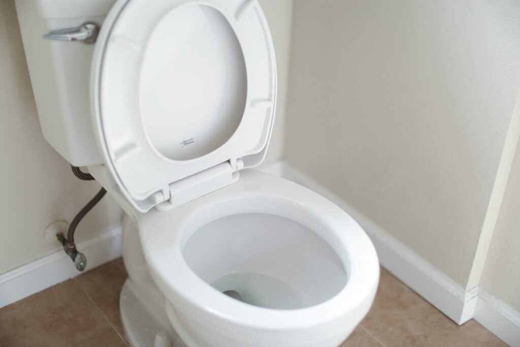toilet in tinley park