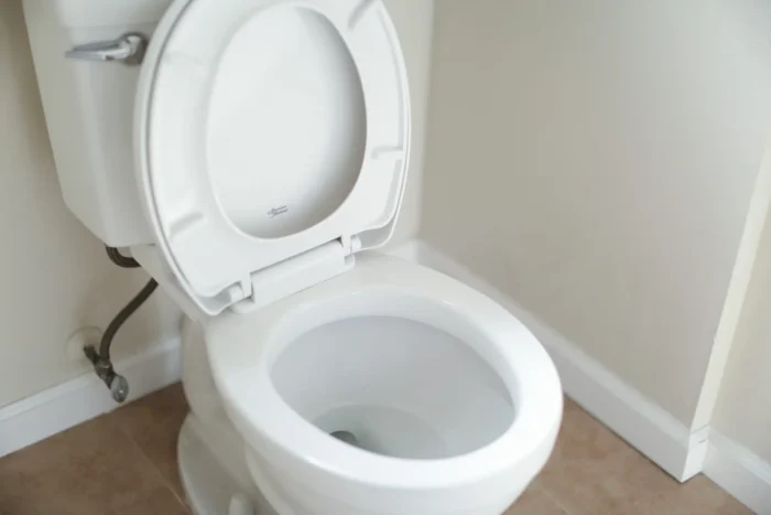 toilet in Crete, IL